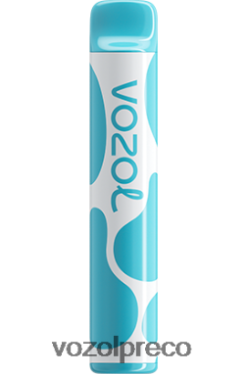 VOZOL Vape Nicotina - VOZOL JOYGO 600 framboesa azeda de mirtilo 0L82R8377