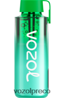 VOZOL Vape Sabores - VOZOL NEON 10.000 hortelã de miami 0L82R8229