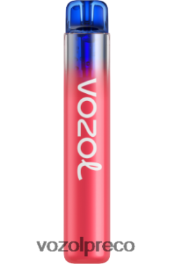 VOZOL Vape Sabores - VOZOL NEON 800 gelo de mirtilo 0L82R8283